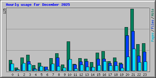 Hourly usage for December 2025