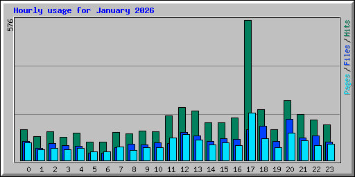 Hourly usage for January 2026