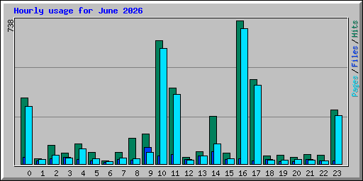 Hourly usage for June 2026
