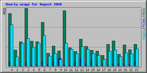 Hourly usage for August 2026
