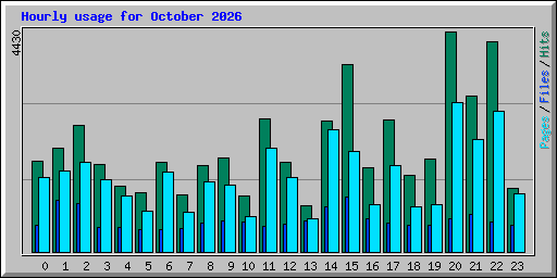 Hourly usage for October 2026